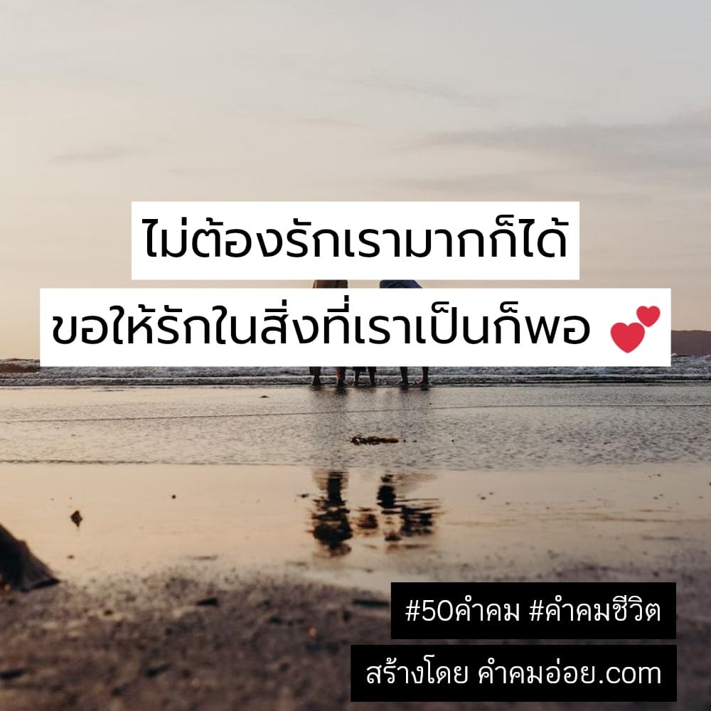 292 คำคมชีวิต คําคมชีวิตทวิต ปีใหม่เทอก็คง ไปกับคนใหม่  สุขสันต์วันเศร้า😔🥀😭